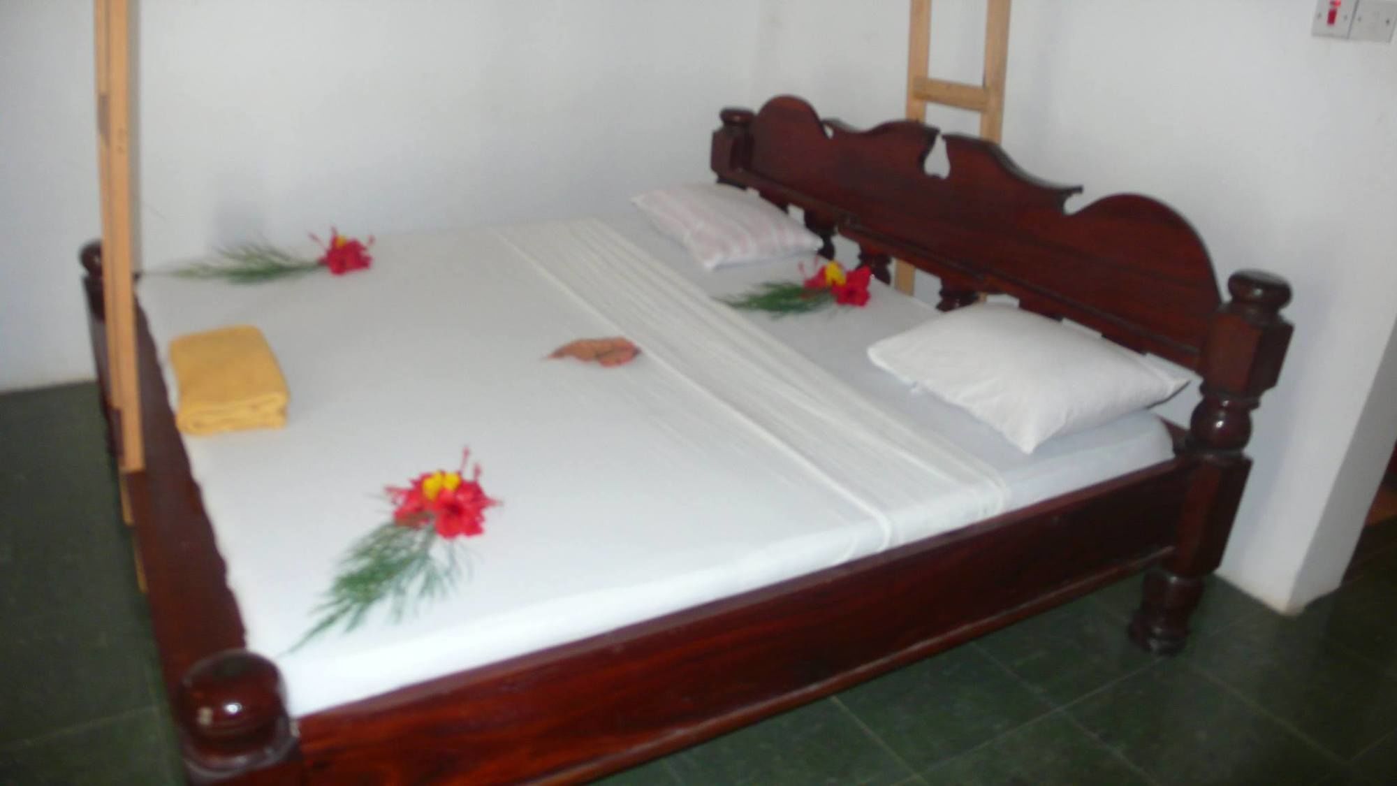 Union Beach Bungalow Nungwi Eksteriør billede